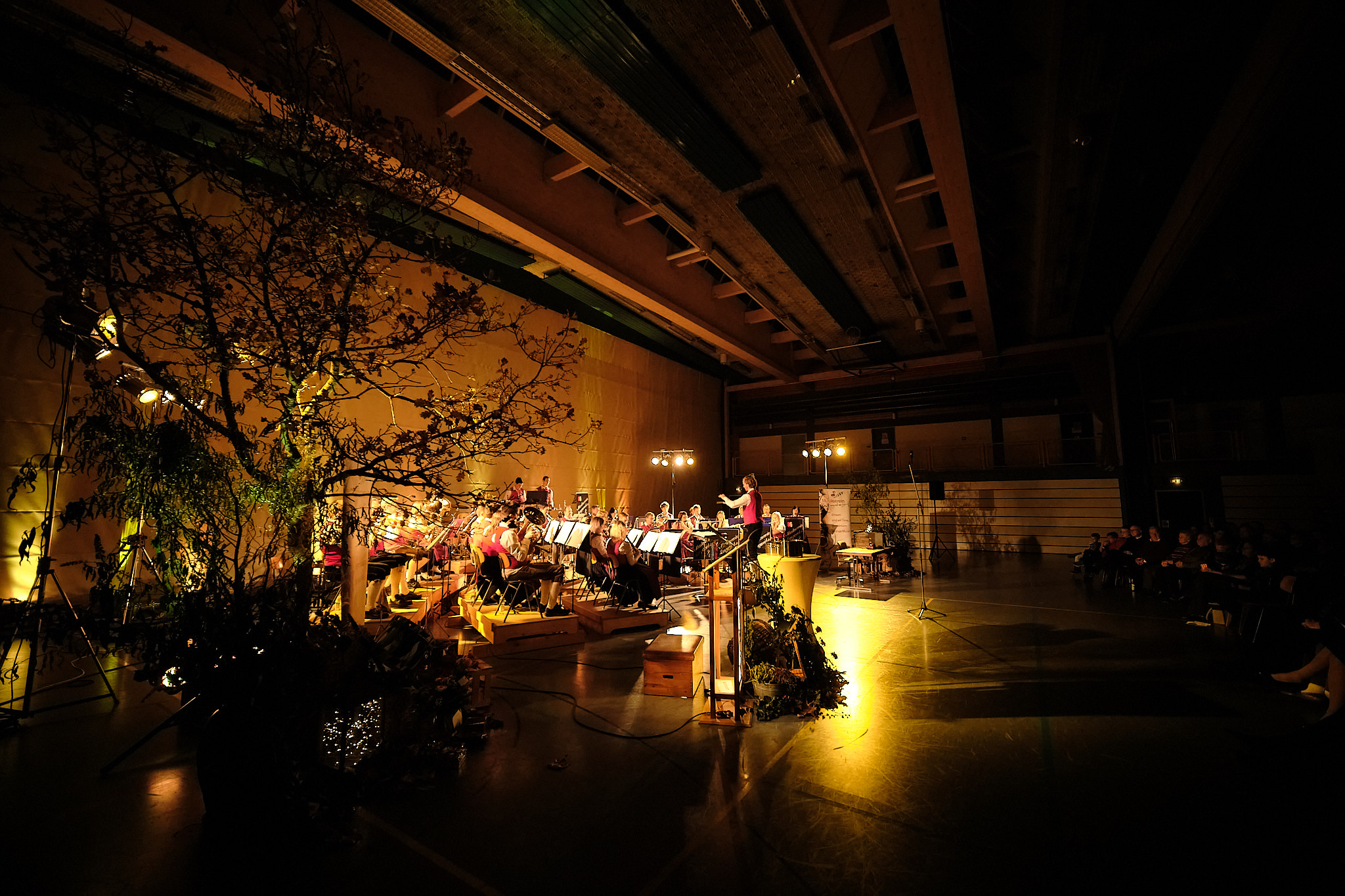 Musikverein-Langweid-Herbstkonzert.jpg